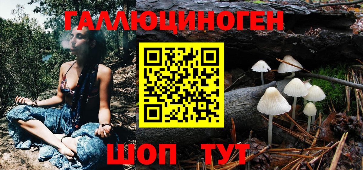 Саров  Галлюциногенные грибы Psilocybe  Вход с VPN 